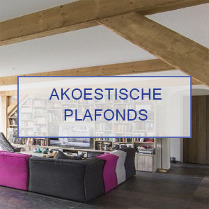 Akoestische Plafonds